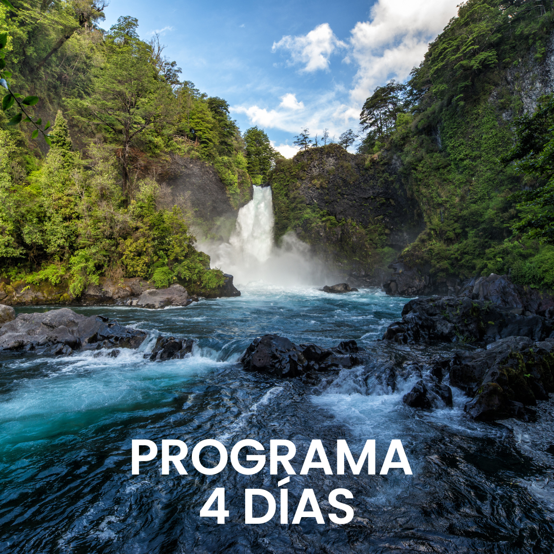 Ver Programa