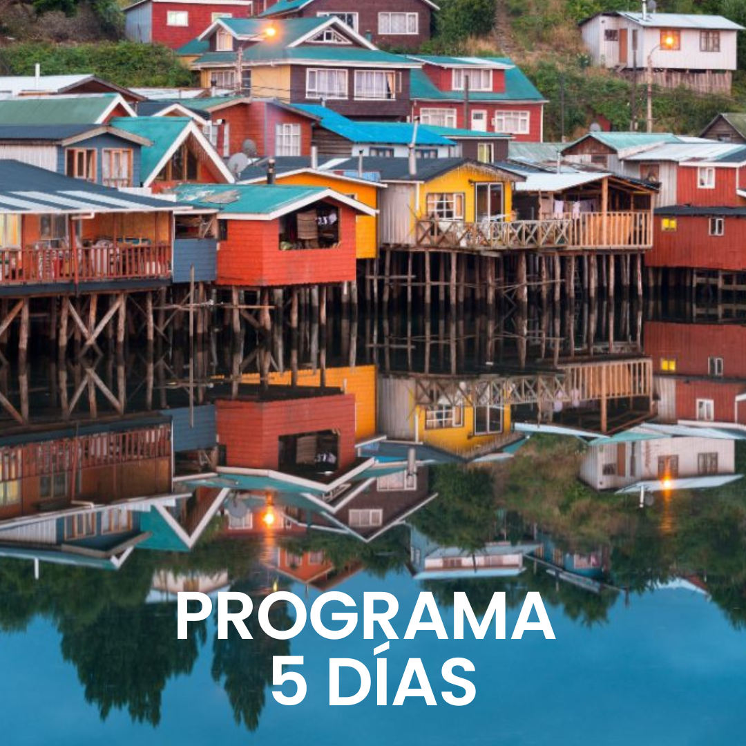 Ver Programa