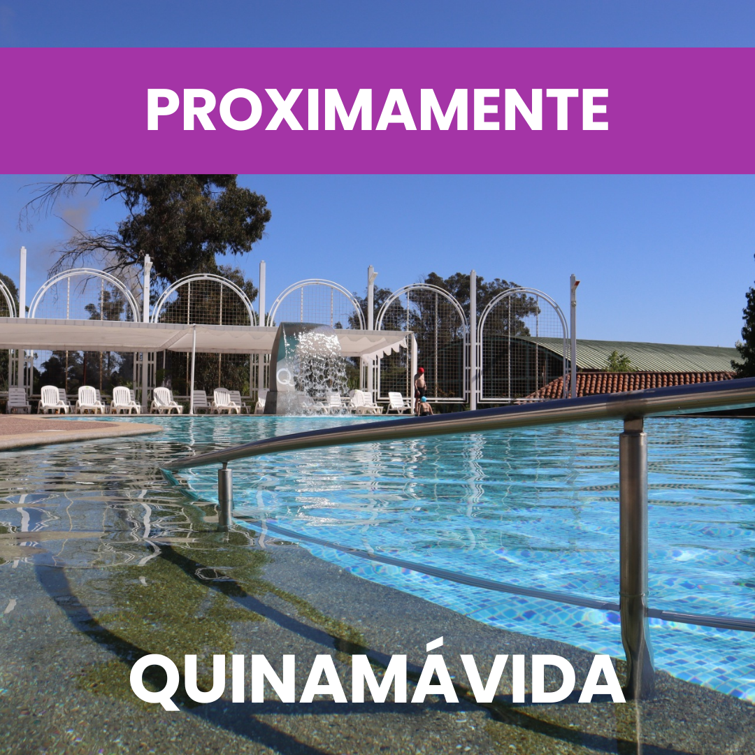 Ver Programa