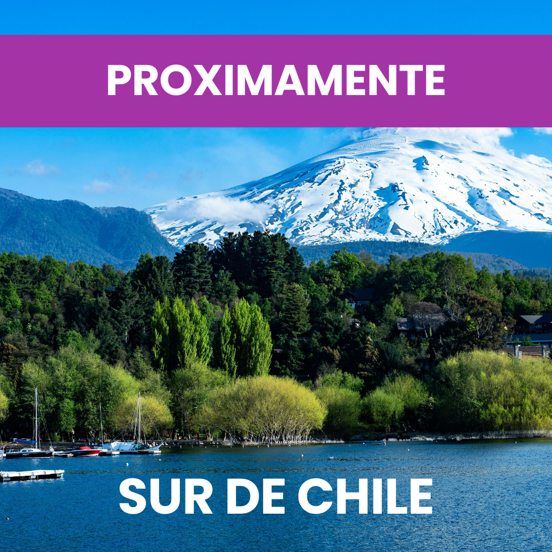 Ver Programa