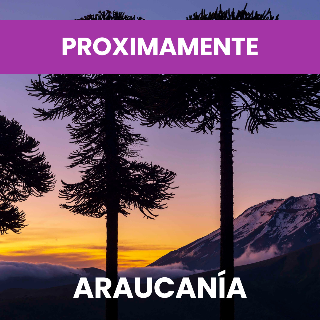 Ver Programa
