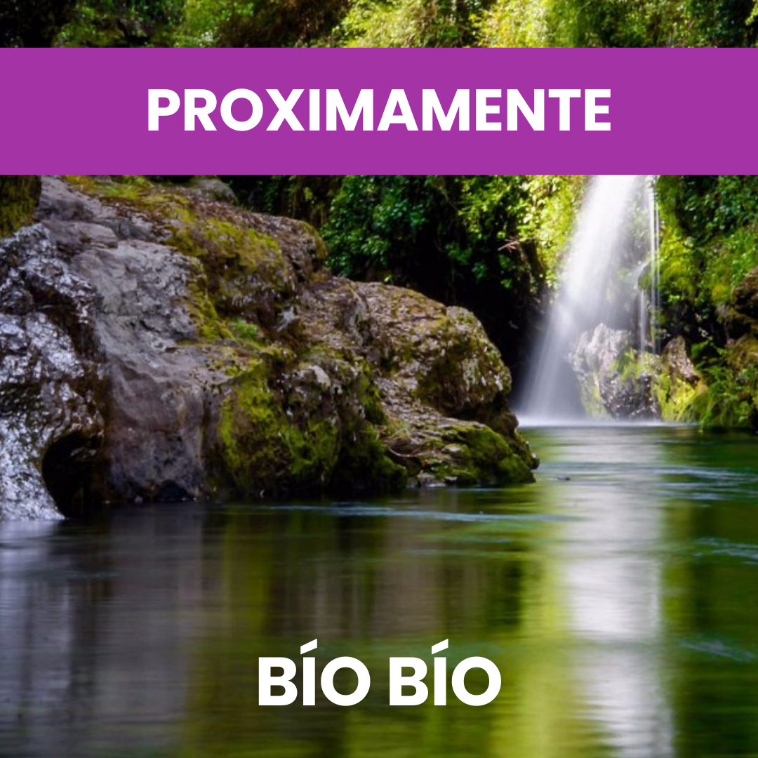 Ver Programa